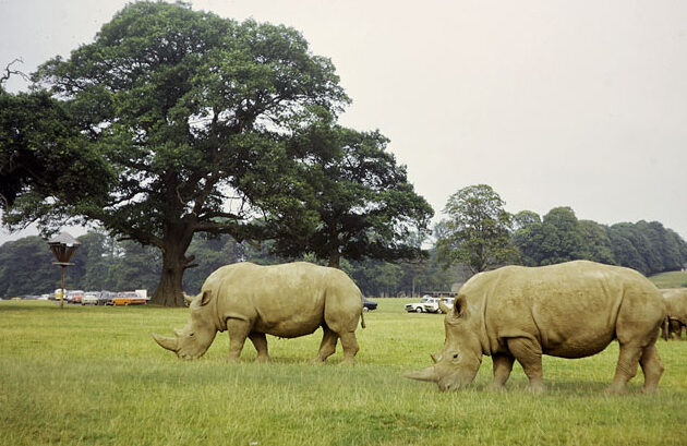 assam tourist places